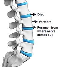 Sagital view or side profile of spine 
